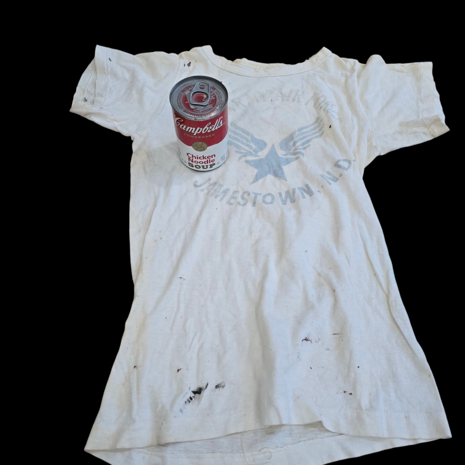 WWII US Army Air Force PT T-shirt Jamestown N. D. Original