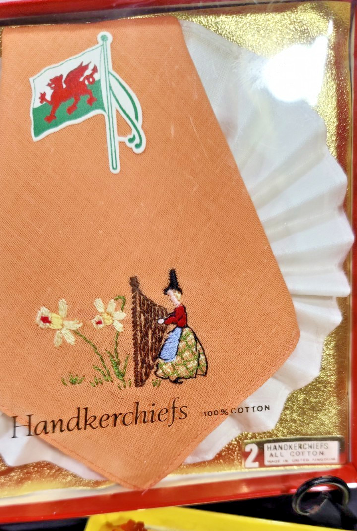 Set of Two Vintage Hand Embroidered 100% Cotton Handkerchiefs United Kingdom