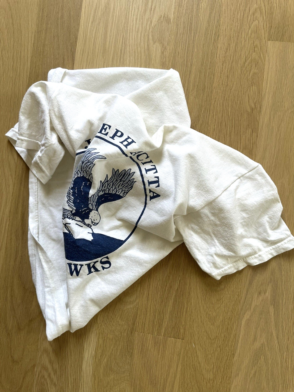 vintage SEAHAWKS elementary school MASCOT toms river NJ punk indie