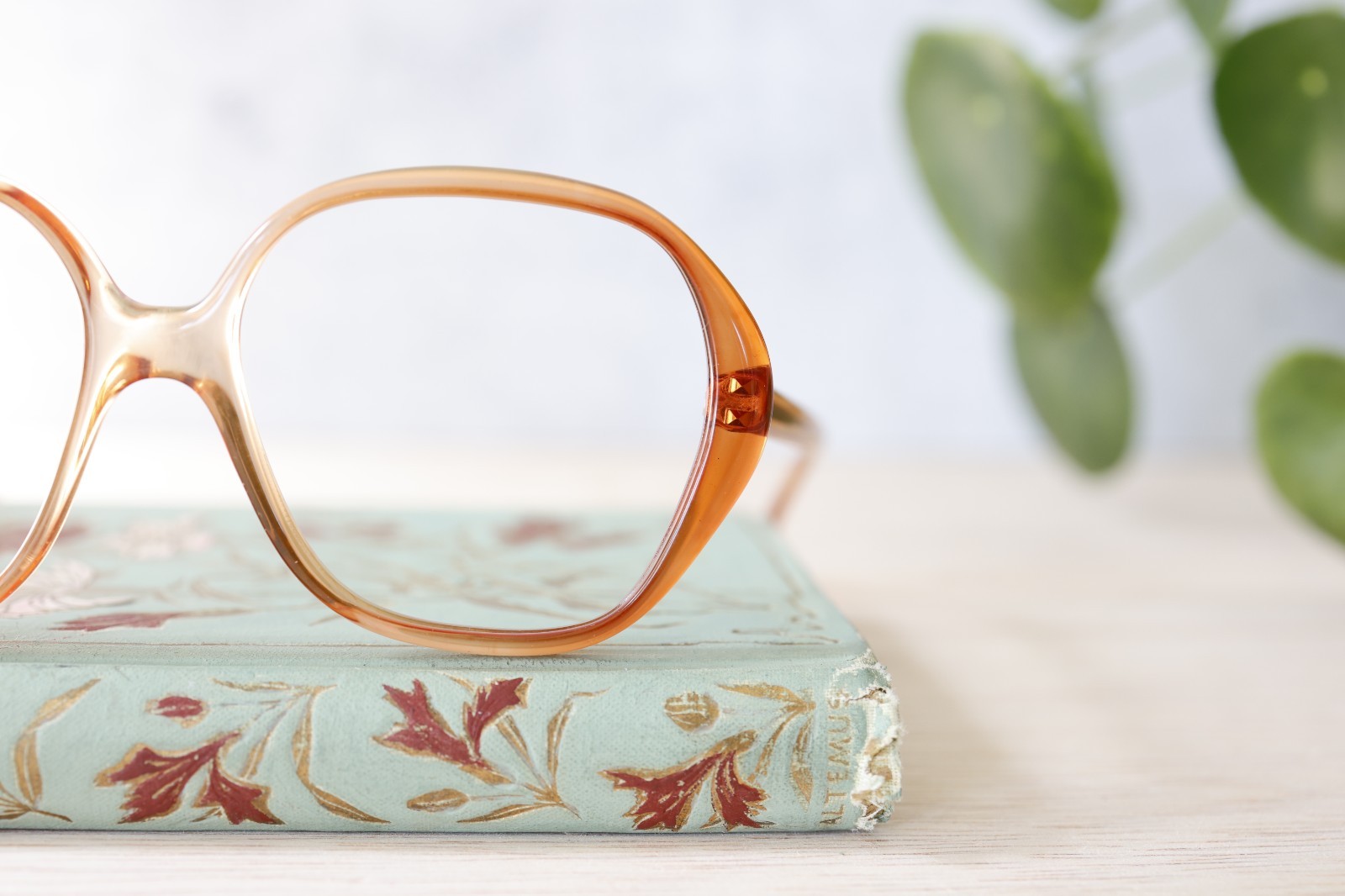 Vintage Diane Von Furstenberg eyeglass 1970s Made In France NOS new old stock
